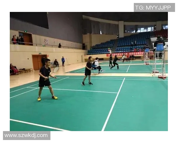 南京羽毛球队运营模式解析与发展趋势探讨