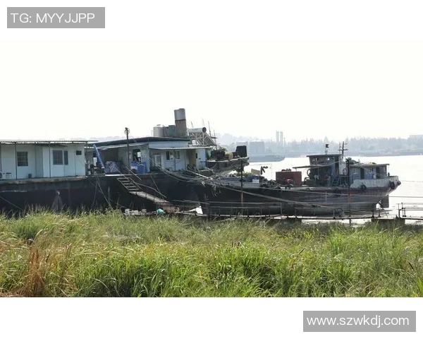 对话王军：回顾我的网球生涯与未来展望的思考与感悟