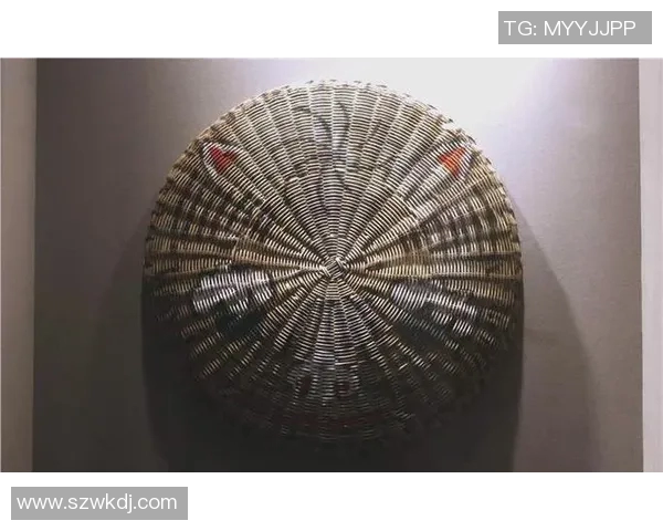 深入分析北京篮球队阵地战战术与执行策略的全景解读