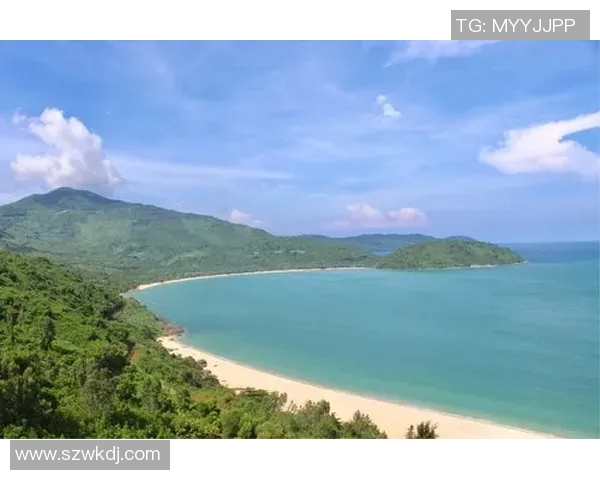 西安篮球队的奋斗历程与杯赛荣耀背后的成长故事