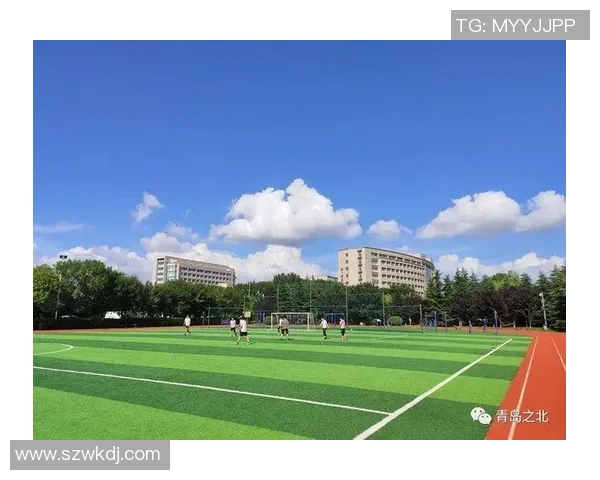 广德足球环助力青少年成长打造足球文化新高地 广德足球环助力青少年成长打造足球文化新高地